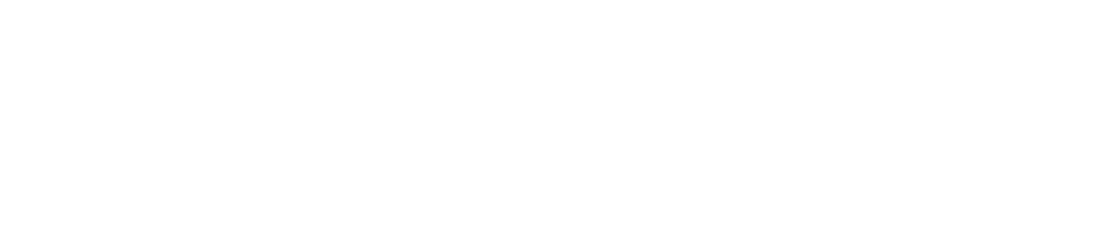 VIRTUADEV – Impulsando negocios al futuro digital
